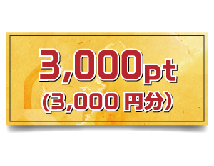 3,000pt (3,000円分)