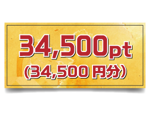 34,500pt (34,500円分)