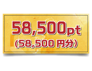 58,500pt (58,500円分)